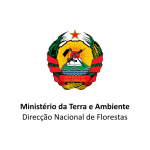ministerio da terra e ambiente direccao nacional de florestas